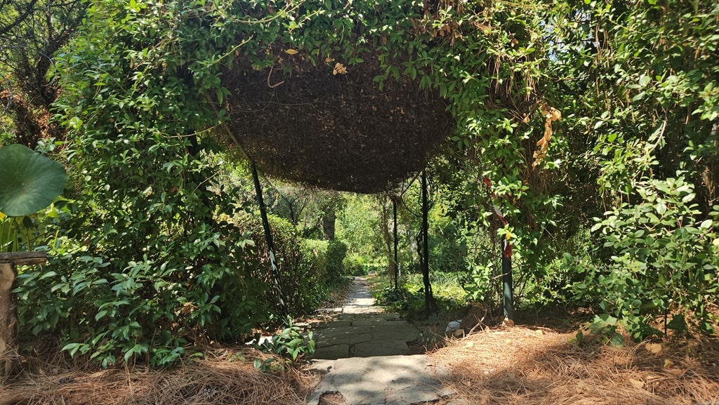 Diomedes Botanical Garden