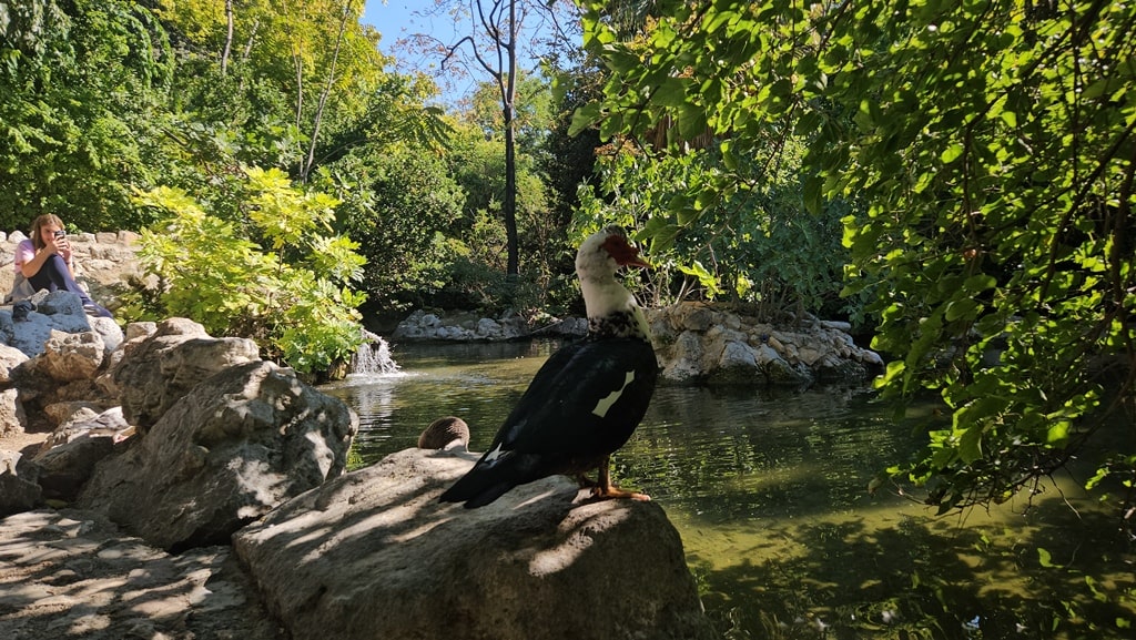 National Garden Athens